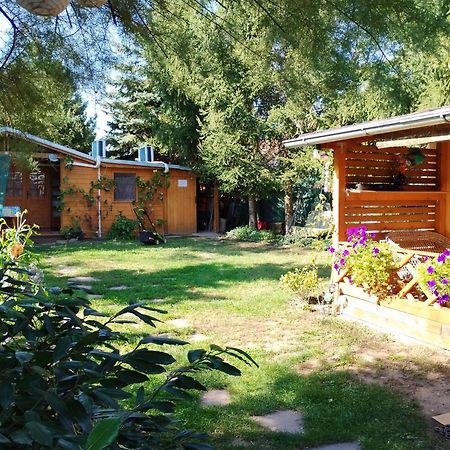 Penzion Slunce Nad Vinnym Sklepem Moravska Nova Ves Exterior photo