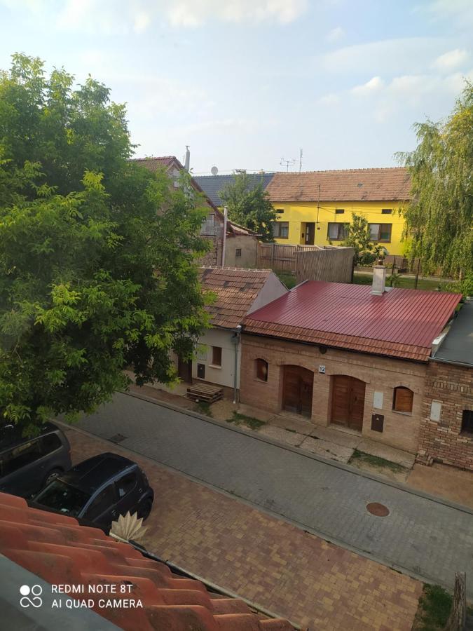 Penzion Slunce Nad Vinnym Sklepem Moravska Nova Ves Exterior photo